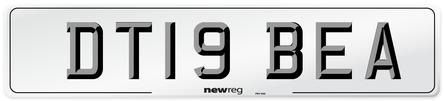 DT19 BEA Number Plate from New Reg